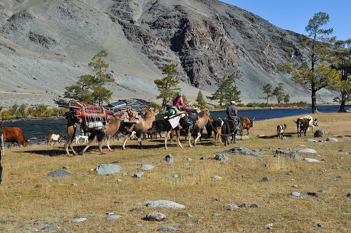 DSC 0448 12m North mongolia 